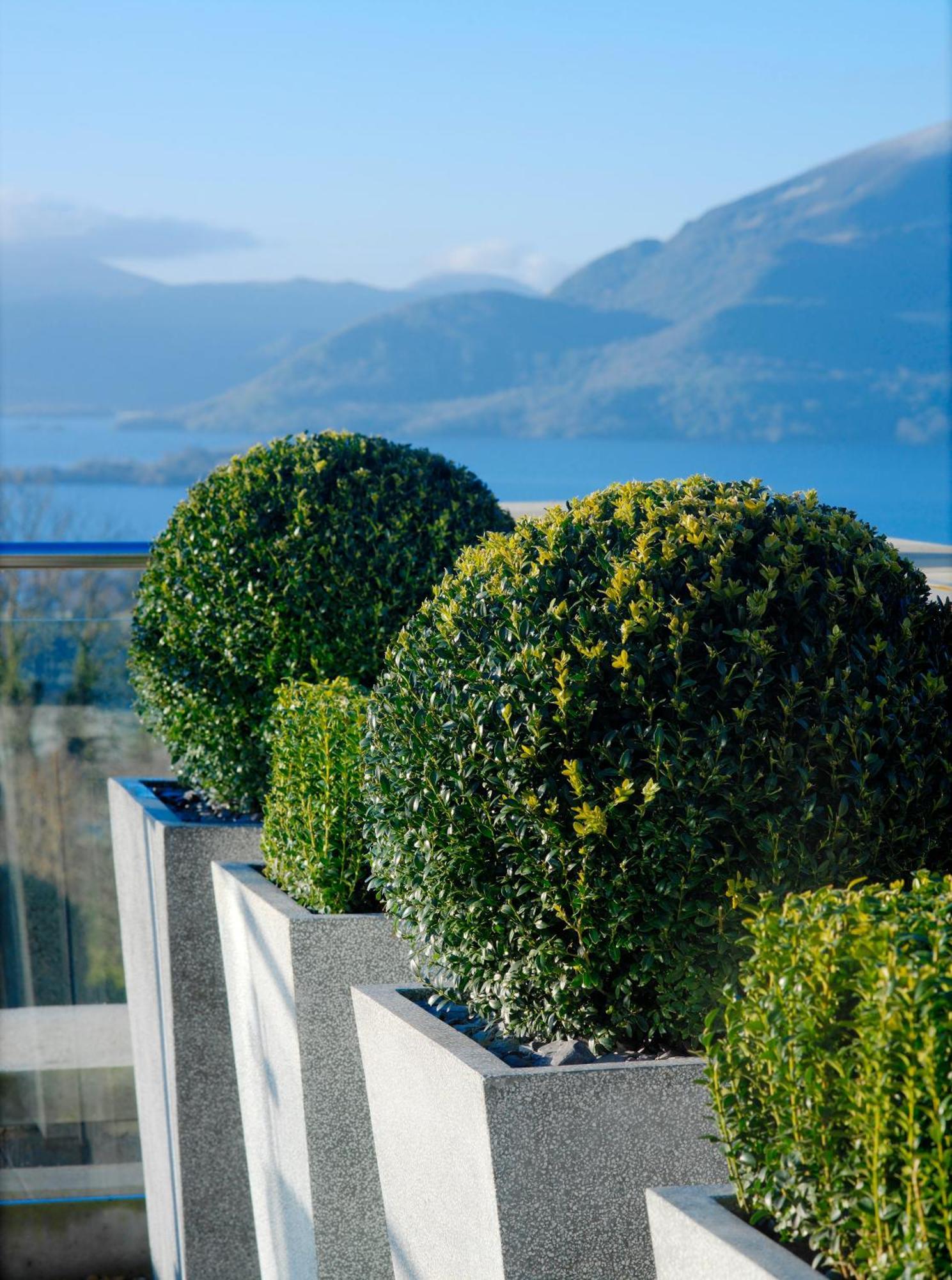 Aghadoe Heights Hotel & Spa Killarney Exteriér fotografie Boxwood